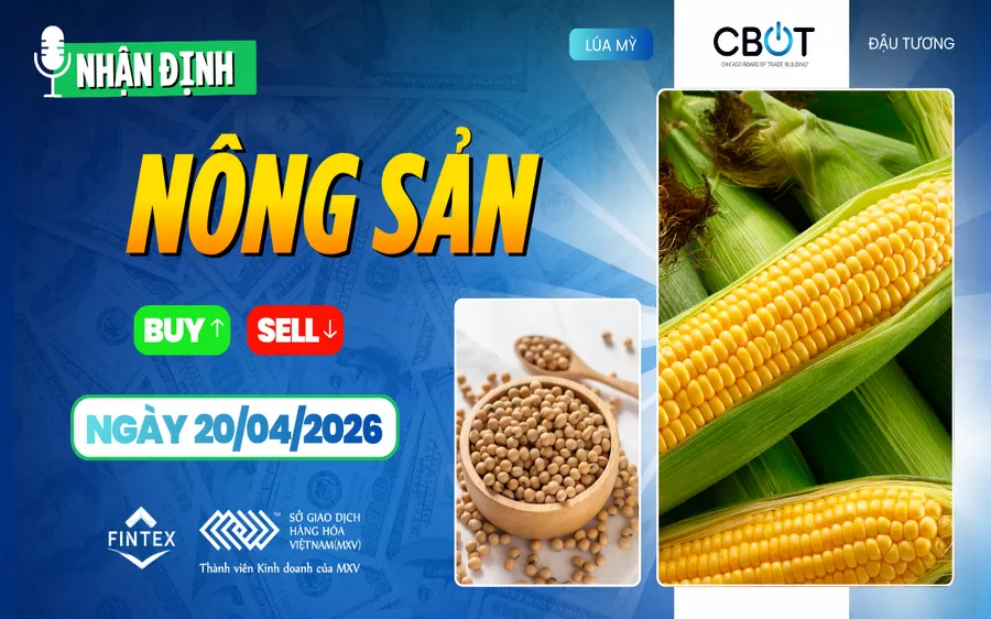 NHẬN ĐỊNH THỊ TRƯỜNG NÔNG SẢN NGÀY 20/04/2026